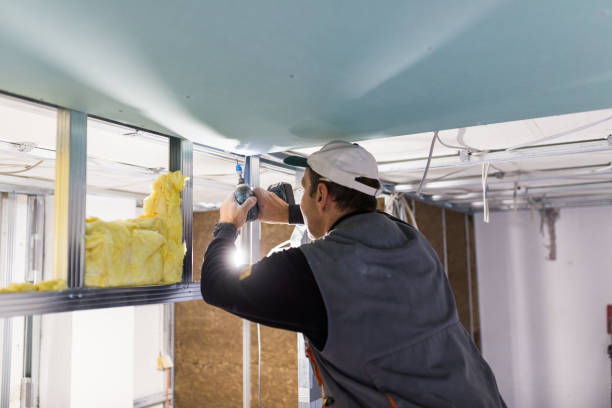 Best Eco-Friendly Insulation in Falling Water, TN
