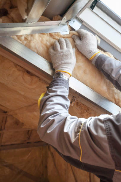 Best Insulation Maintenance and Repair in Falling Water, TN